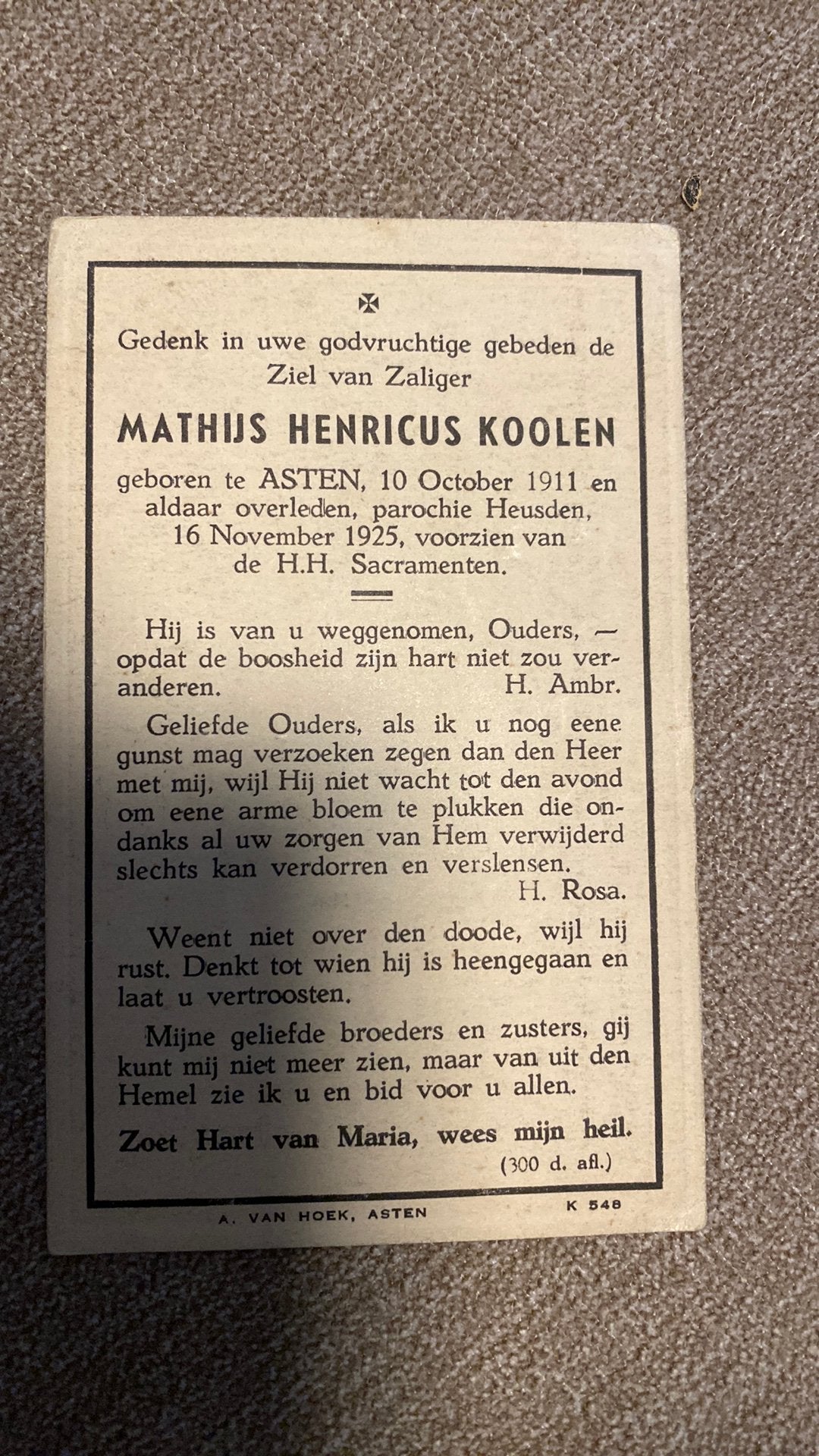 14-jarige Mathijs H Koolen 1911 Asren 1925, Ophalen of Verzenden