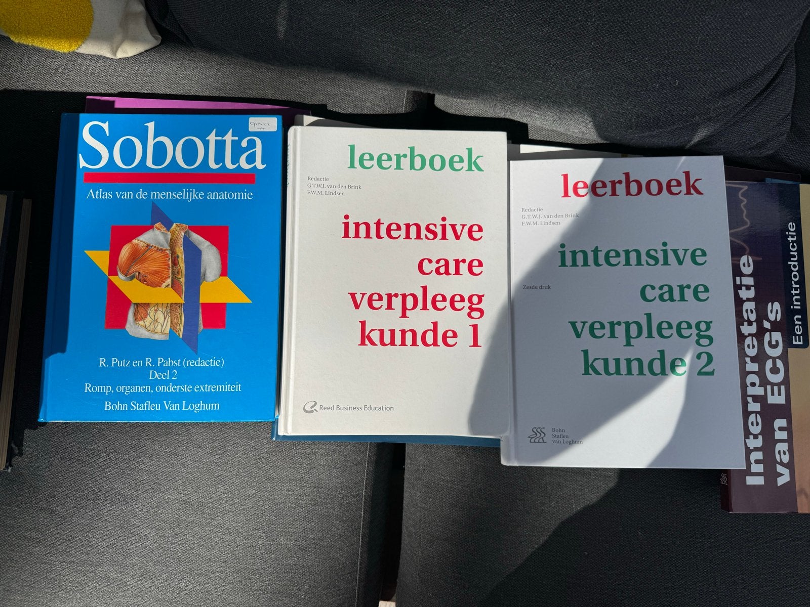 Medische boeken: Sobotta, Intensive Care Verpleegkunde, Ophalen, Beta, Zo goed als nieuw, HBO