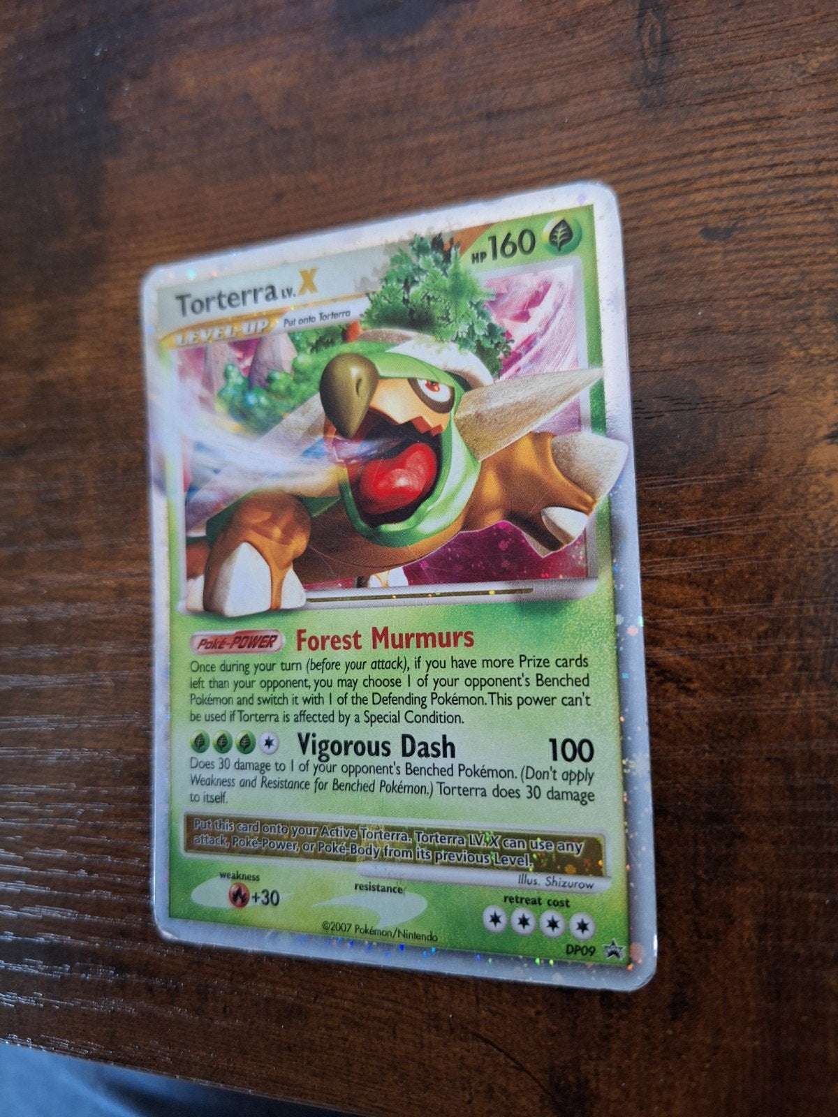 Torterra LV.X Holo - DP09 - Black Star Promo (2007), Ophalen of Verzenden, Gebruikt, Losse kaart