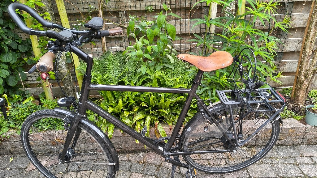 Trek Dublin Five Heren Zwart, Gebruikt, Velgrem, Versnellingen, 57 tot 61 cm