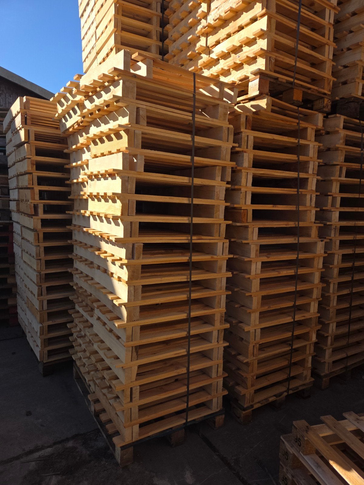 pallets 60x80, Ophalen of Verzenden