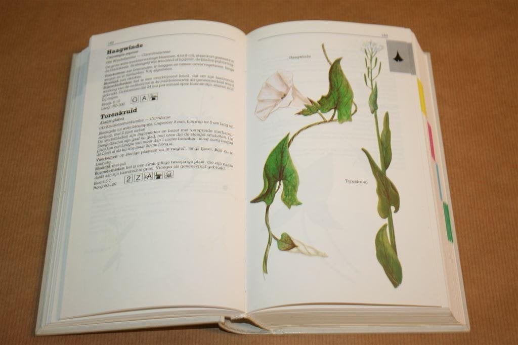 Wilde planten in kleur - Gids met ruim 800 illustraties, Ophalen of Verzenden, Gelezen, Bloemen, Planten en Bomen