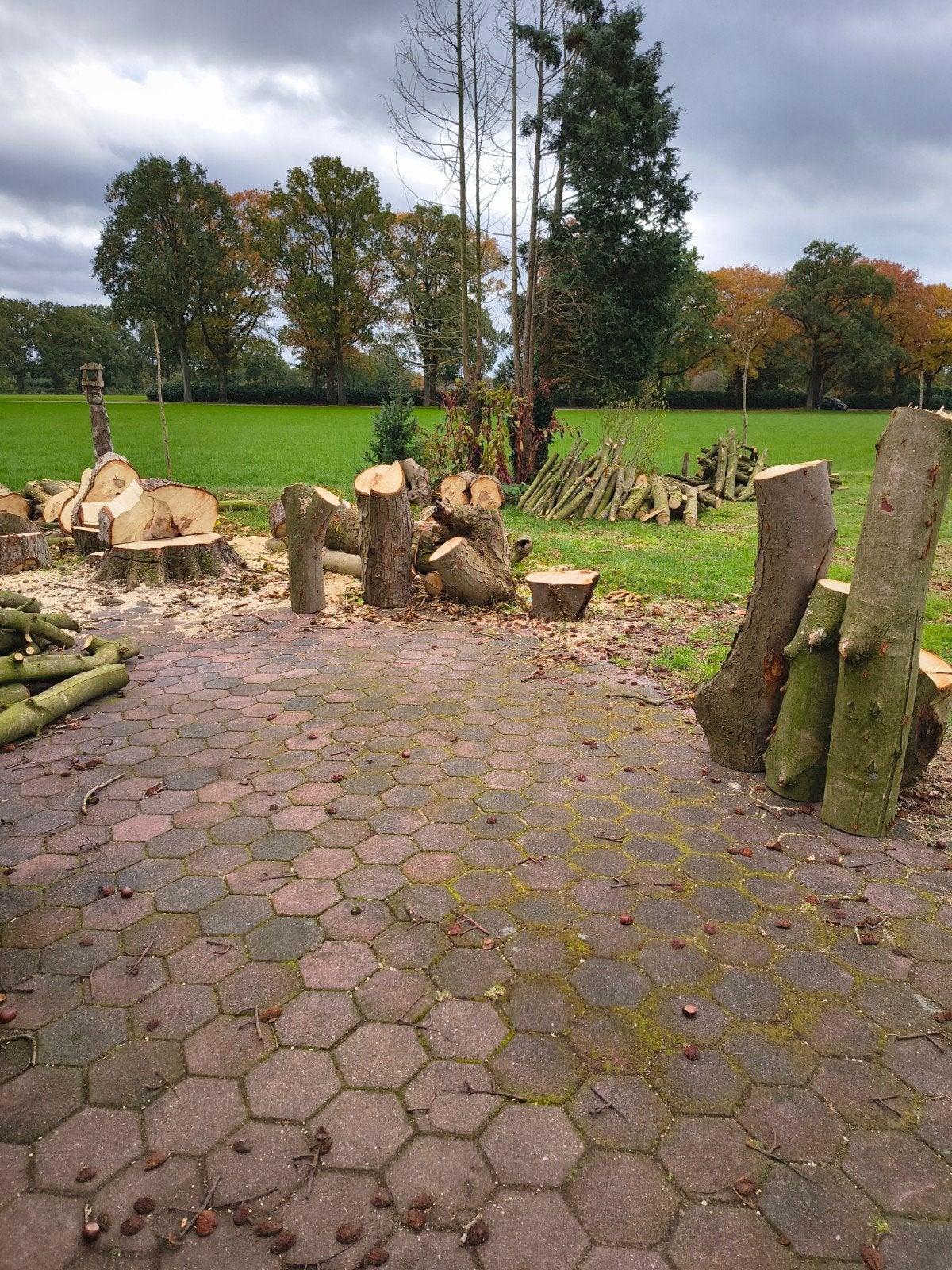 haardhout te koop, 3 tot 6 m³, Ophalen, Overige houtsoorten, Blokken
