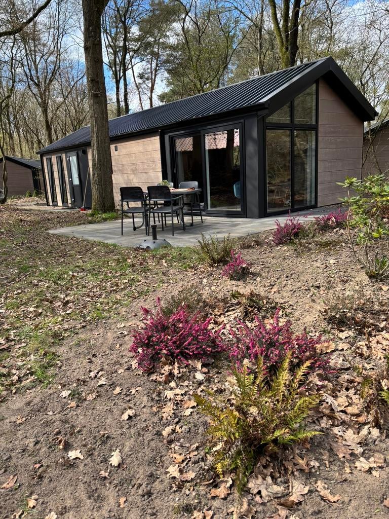 Recreatiehuisje Drenthe te huur, In bos, 2 slaapkamers, Recreatiepark, Wasmachine
