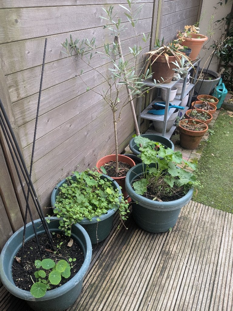 Diverse plantenpotten voor tuin en balkon, Tuin en Terras, Kunststof, Gebruikt, Rond, Balkon