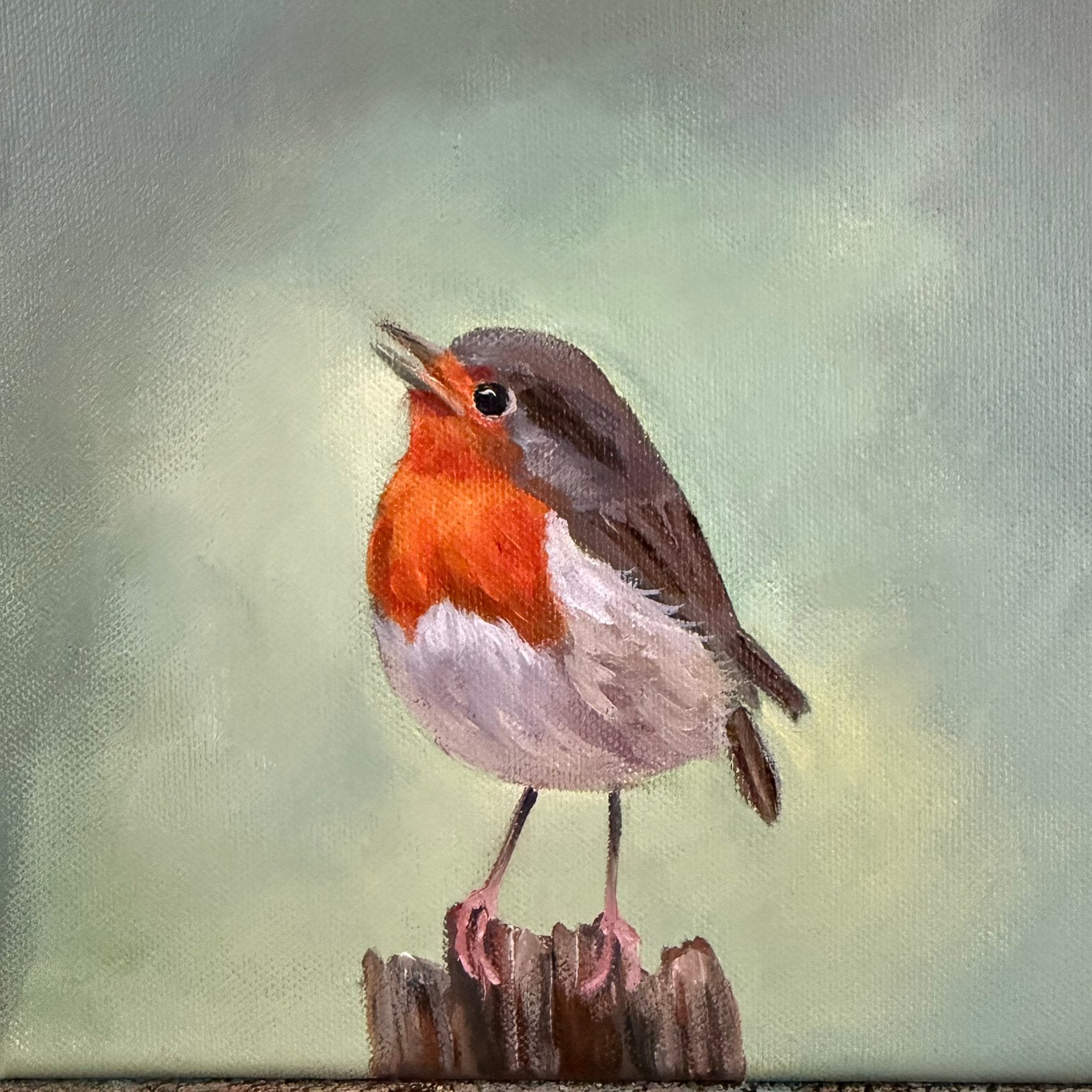 Schilderij roodborstje uit eigen atelier, Huis en Inrichting, Minder dan 50 cm, Oorspronkelijke maker, Nieuw, Ophalen of Verzenden
