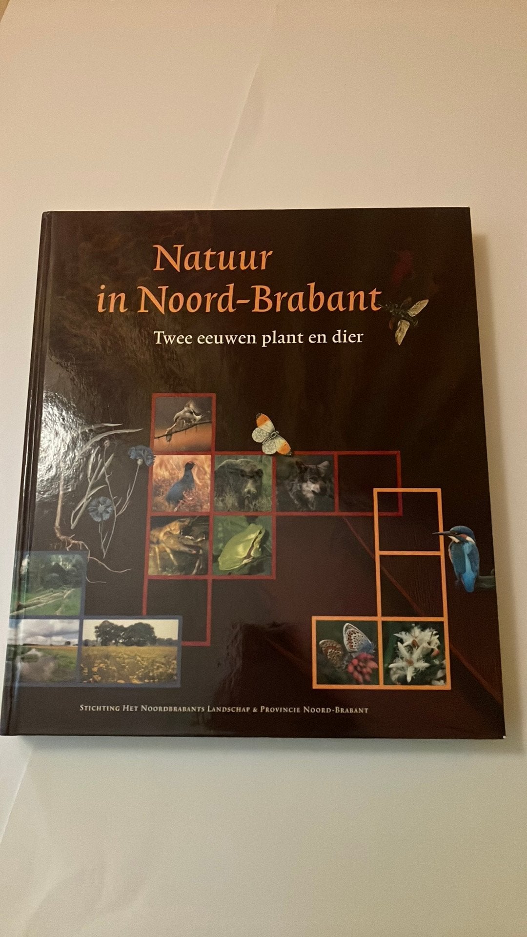 Natuur in Noord-Brabant,, Ophalen of Verzenden, Zo goed als nieuw, Overige onderwerpen
