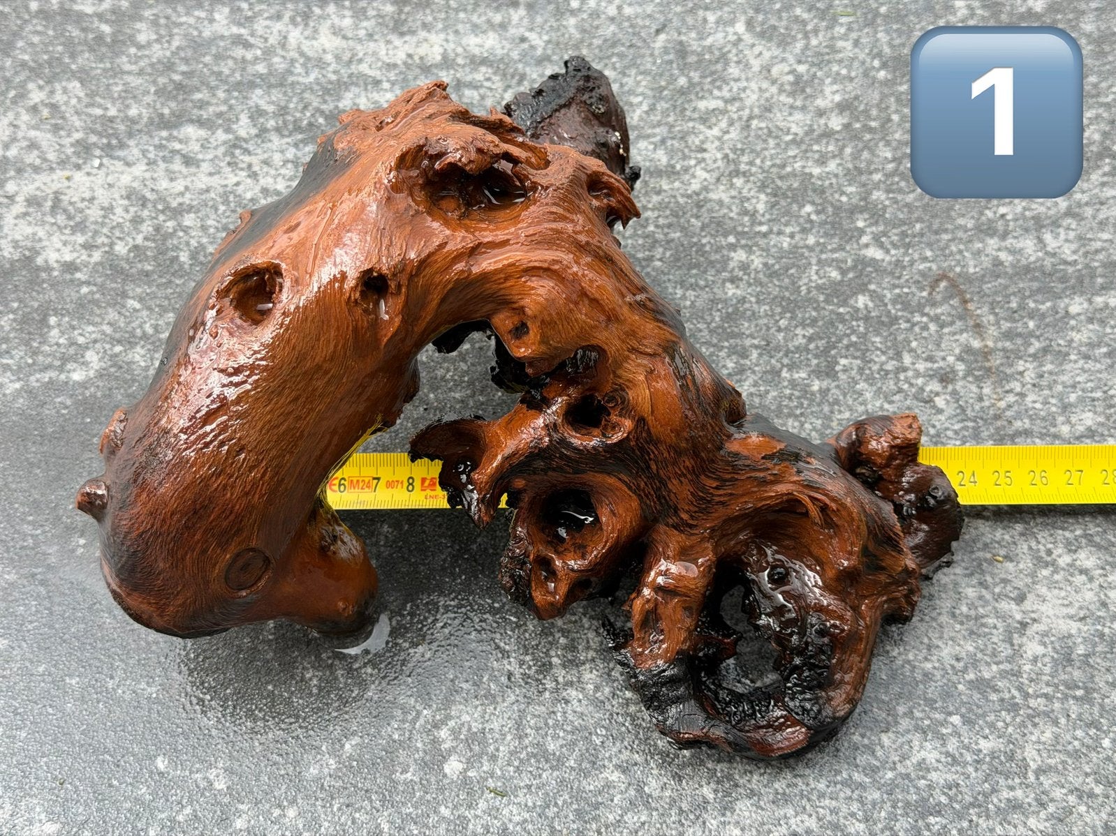 Mooie nieuwe stukken Mopani hout, Dieren en Toebehoren, Ophalen, Nieuw, Plant(en), Steen of Hout