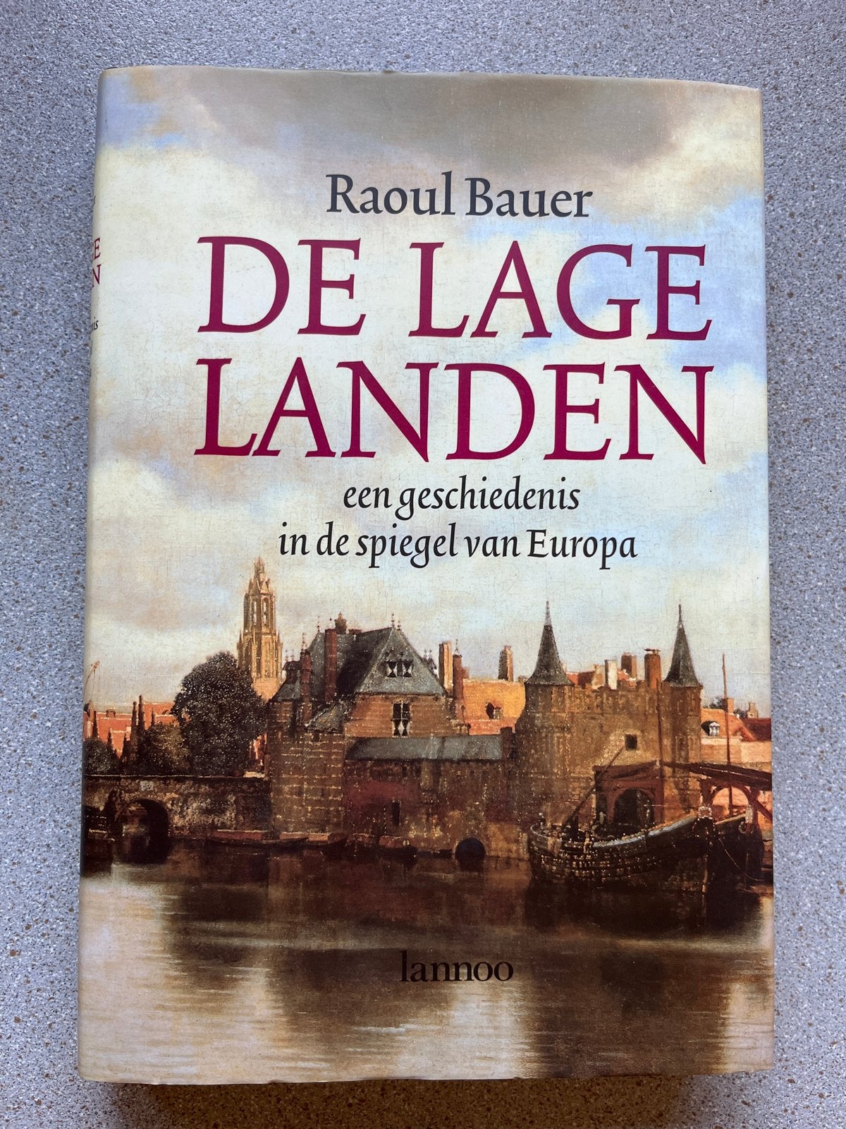 De Lage Landen: Een Geschiedenis in de Spiegel van Europa, Ophalen of Verzenden, 20e eeuw of later, Gelezen, Europa