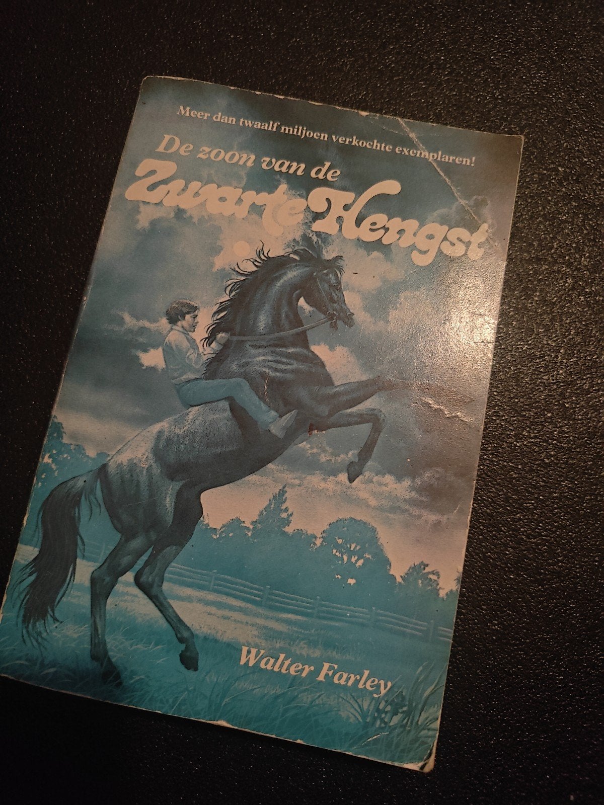 De Zoon van de Zwarte Hengst - Walter Farley, Boeken, Ophalen of Verzenden, Gelezen, Walter Farley