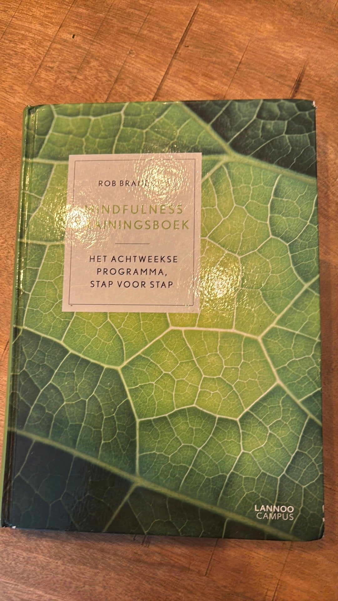 Mindfulness Trainingsboek - Rob Brandsma, Boeken, Meditatie of Yoga, Ophalen of Verzenden, Zo goed als nieuw, Instructieboek