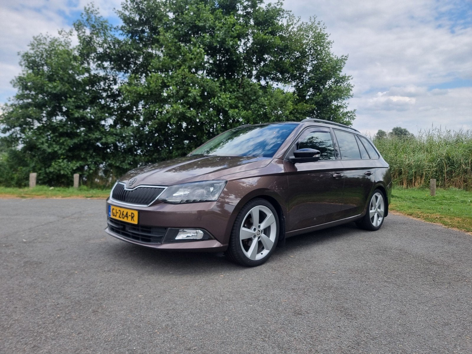 Skoda Fabia 1.2 TSI 90pk Greentech 2015 Bruin, Auto's, Stof, 40 €/maand, Zwart, 4 cilinders