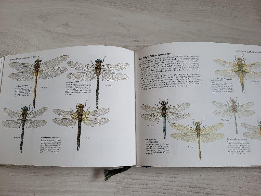 Vlinders en andere Insecten + Paddestoelen, Verzenden, Zo goed als nieuw