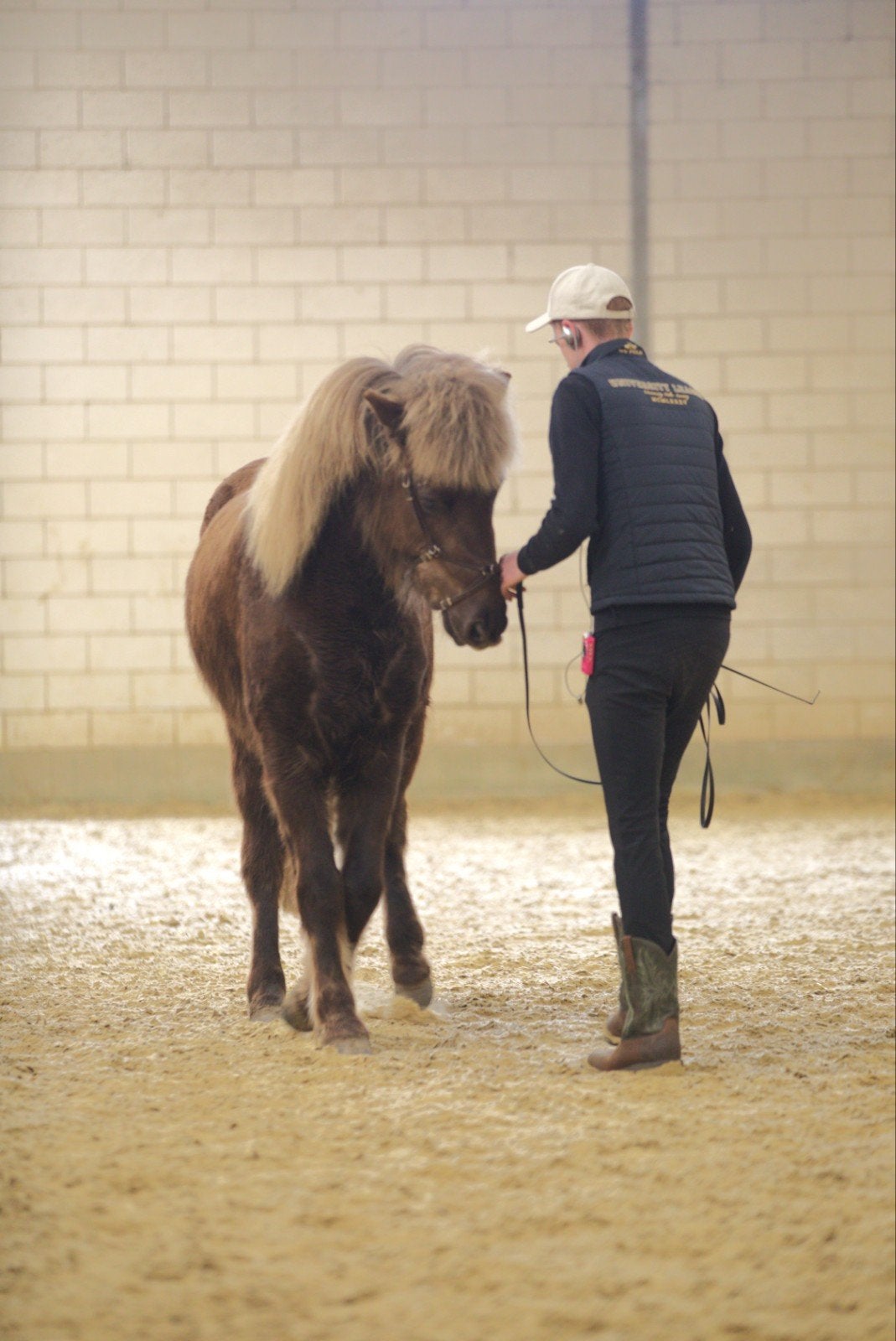 instructeur, paardrijden, les, grondwerk, longeren, rijden, Paardrijles of Ponykampen
