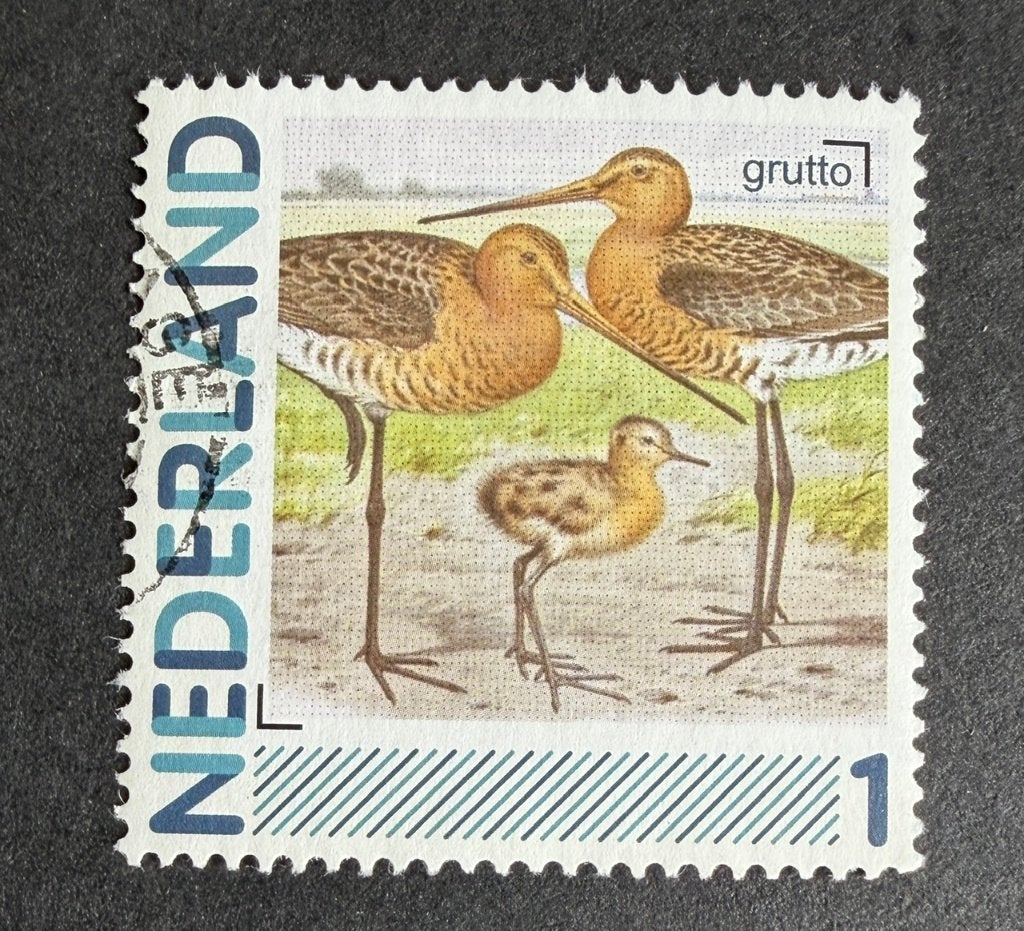 HS16, Ophalen of Verzenden, Na 1940, Gestempeld