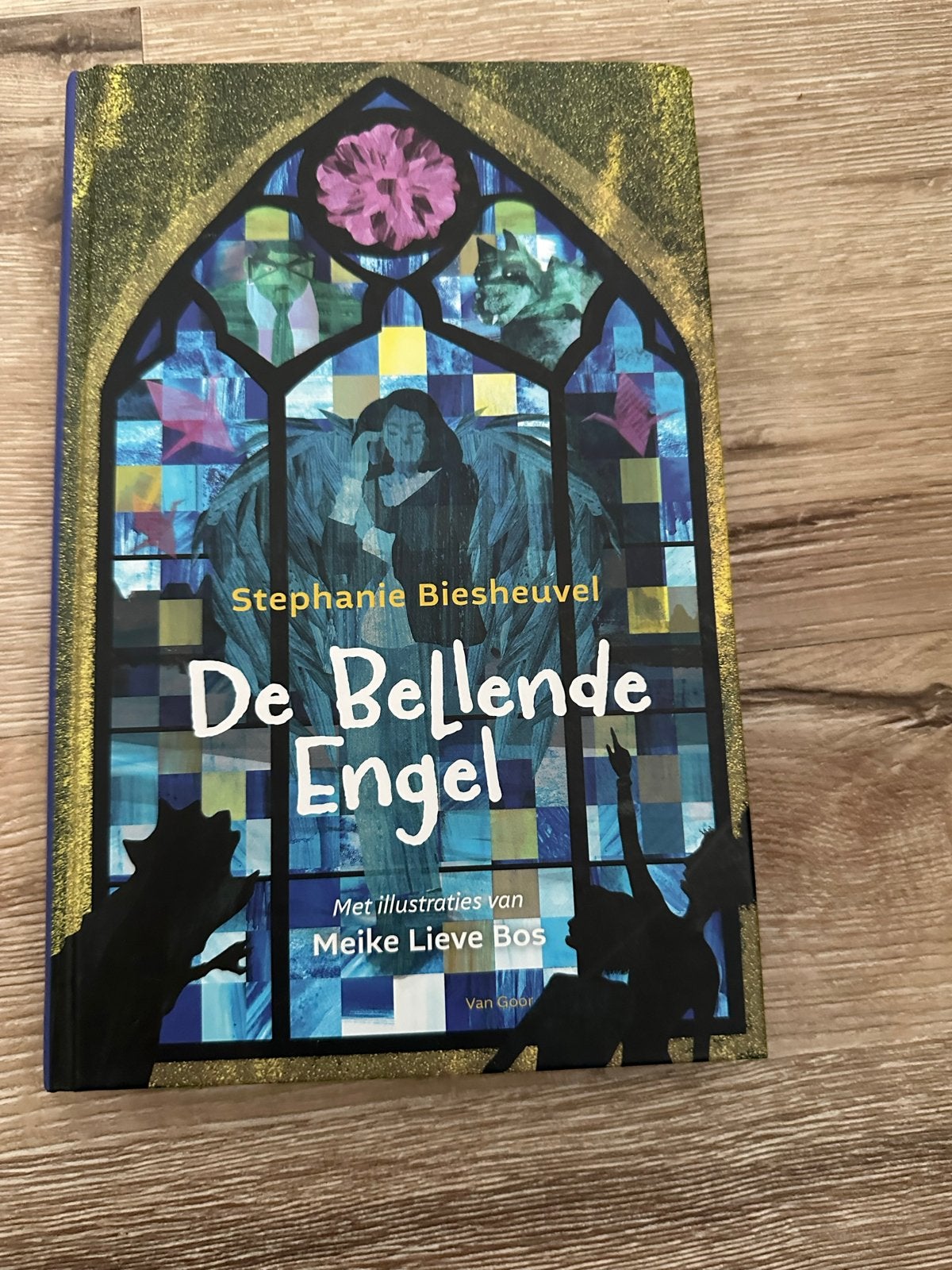 De Bellende Engel - Stephanie Biesheuvel (Zo goed als nieuw), Ophalen of Verzenden, Zo goed als nieuw, Nederland