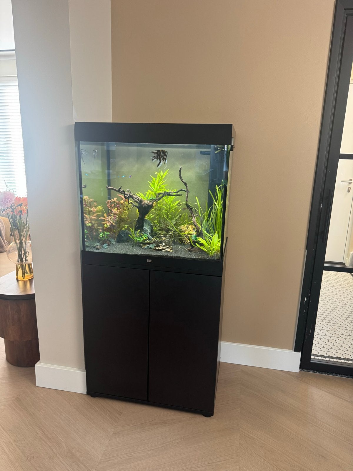 Juwel lido 200 compleet met kast., Ophalen, Pomp, Juwel, Gevuld zoetwateraquarium