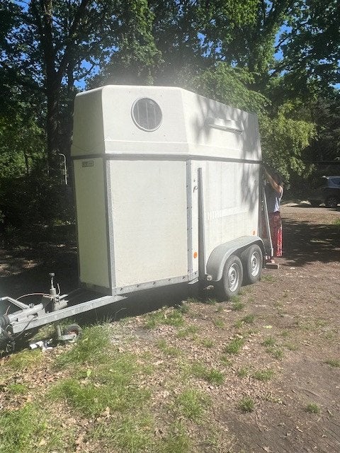 paarden aanhangwagen, Ruin, Recreatiepaard, 11 jaar of ouder