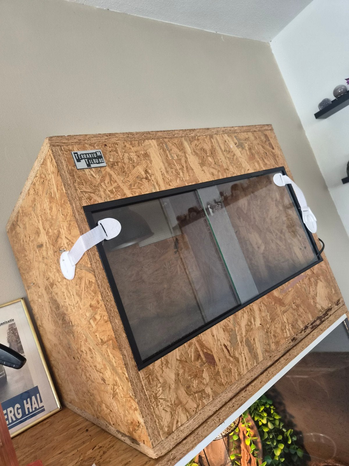 OSB Terrarium, Dieren en Toebehoren, Ophalen, Zo goed als nieuw, Terrarium of Paludarium