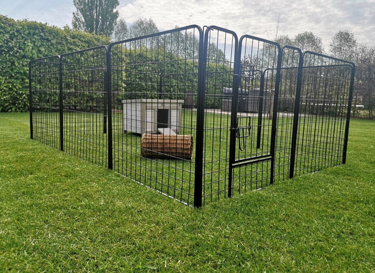 Konijnenren / Puppyren – Zwart – 240 x 160 cm – Incl. deur, Ophalen, Zo goed als nieuw, IJzer
