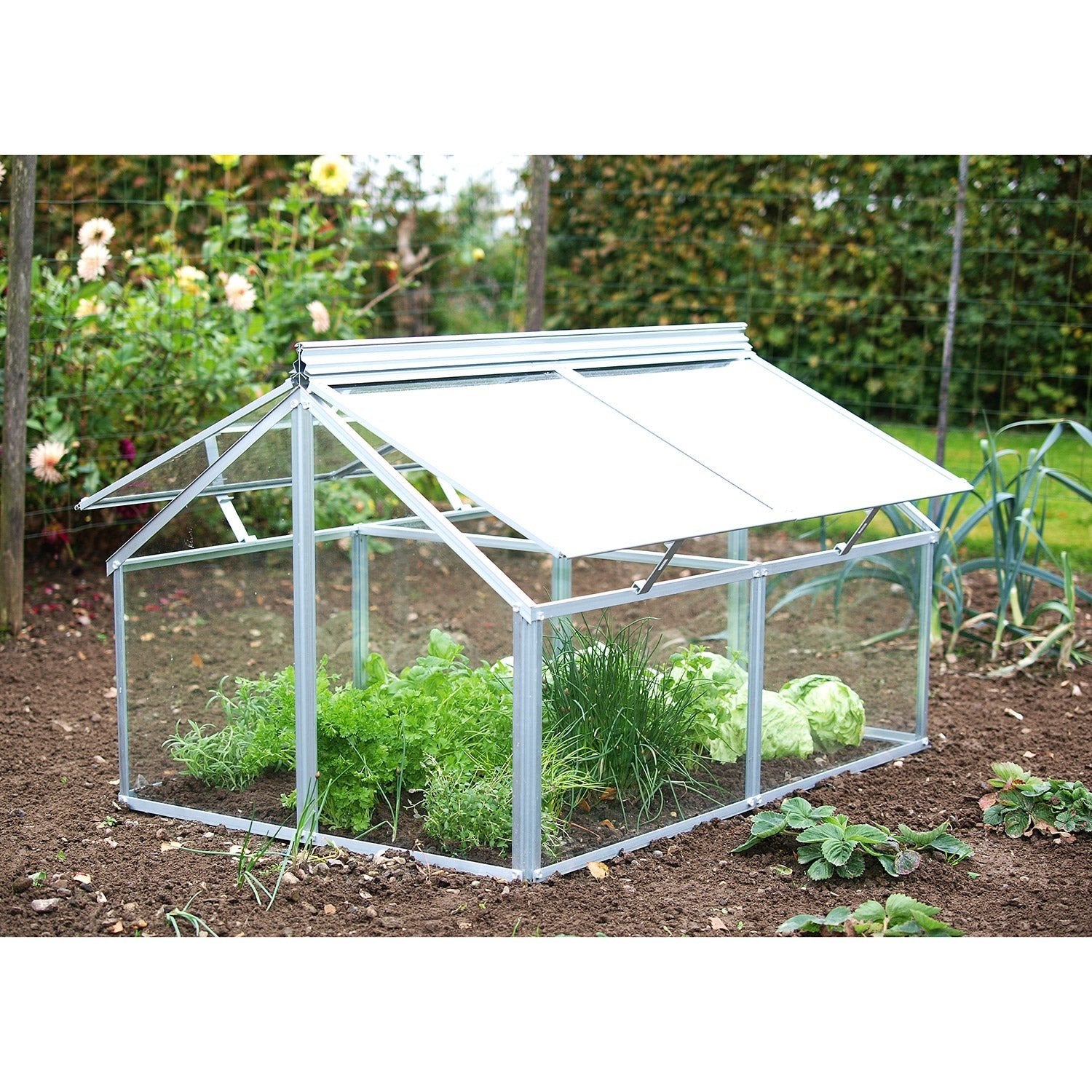 Kweekbak,je, Tuin en Terras, Kassen, Ophalen, Glas, Gebruikt, Aluminium