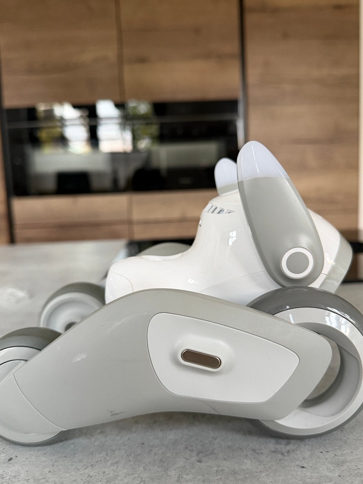 Loona AI Robot – Nauwelijks gebruikt, Ophalen, Zo goed als nieuw, Elektronica, Met licht