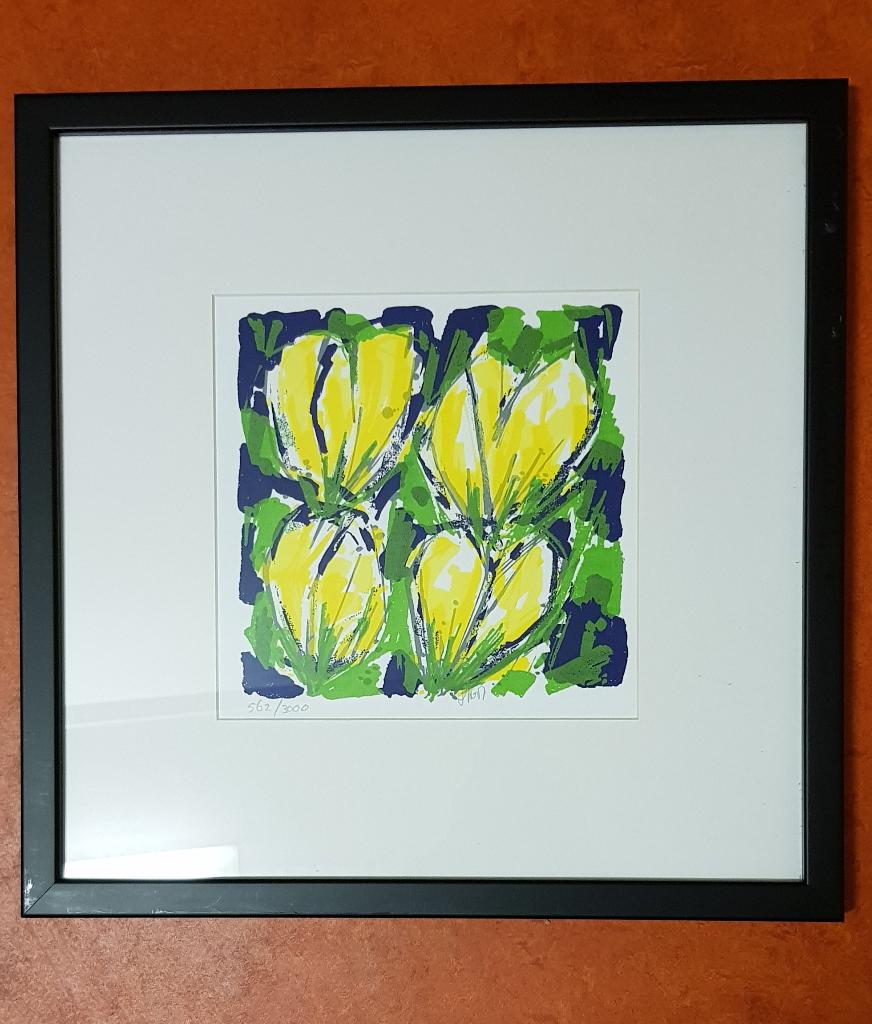 Twee Ad van Hassel zeefdrukken, Ophalen, Minder dan 50 cm, Zo goed als nieuw, Schilderij