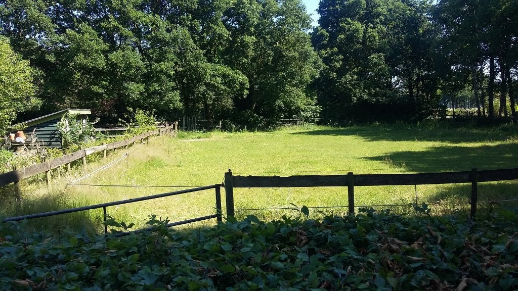 Foto 8 van Te huur gedeelte van een woonboerderij