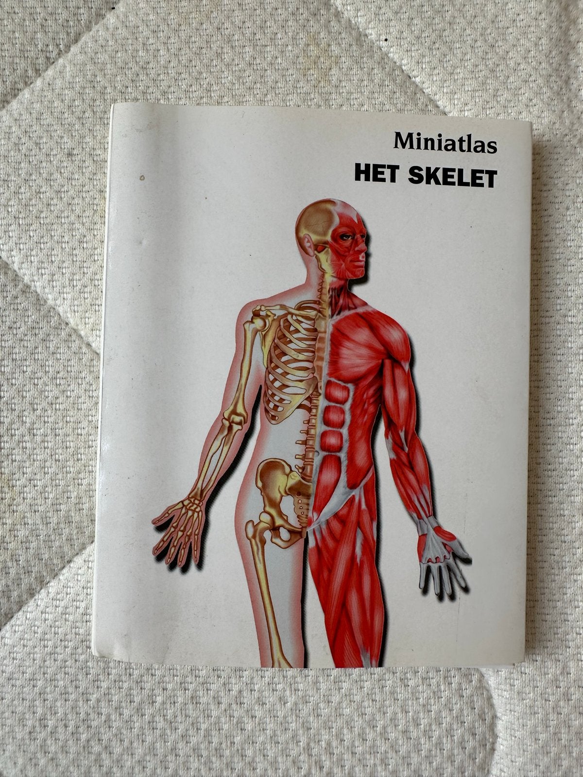 Miniatlas Het Skelet - Anatomieboek, Ophalen of Verzenden, Zo goed als nieuw, Natuurwetenschap