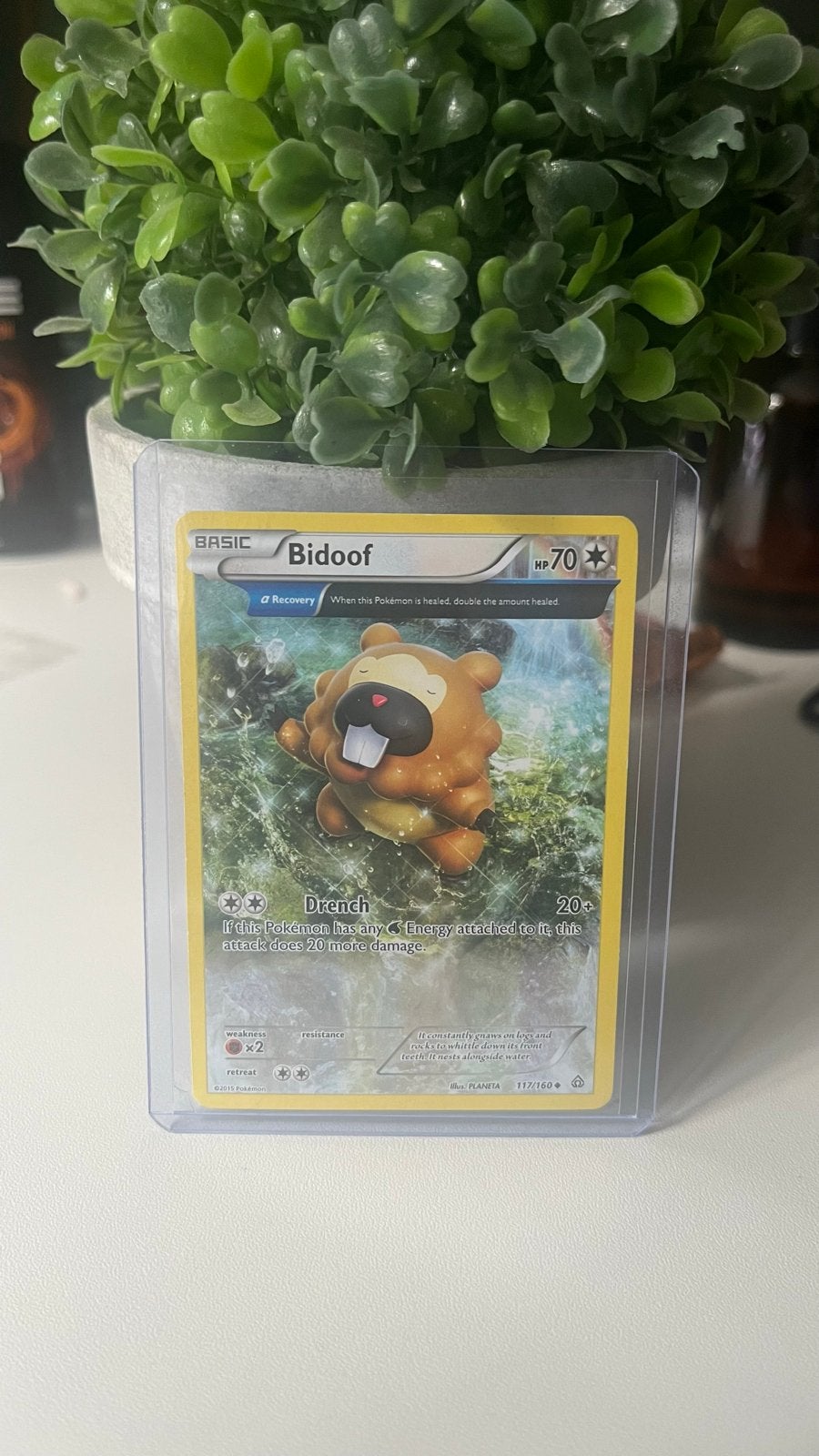 Pokemon Kaart Bidoof 117/160 - Zo goed als nieuw, Ophalen of Verzenden, Zo goed als nieuw, Losse kaart
