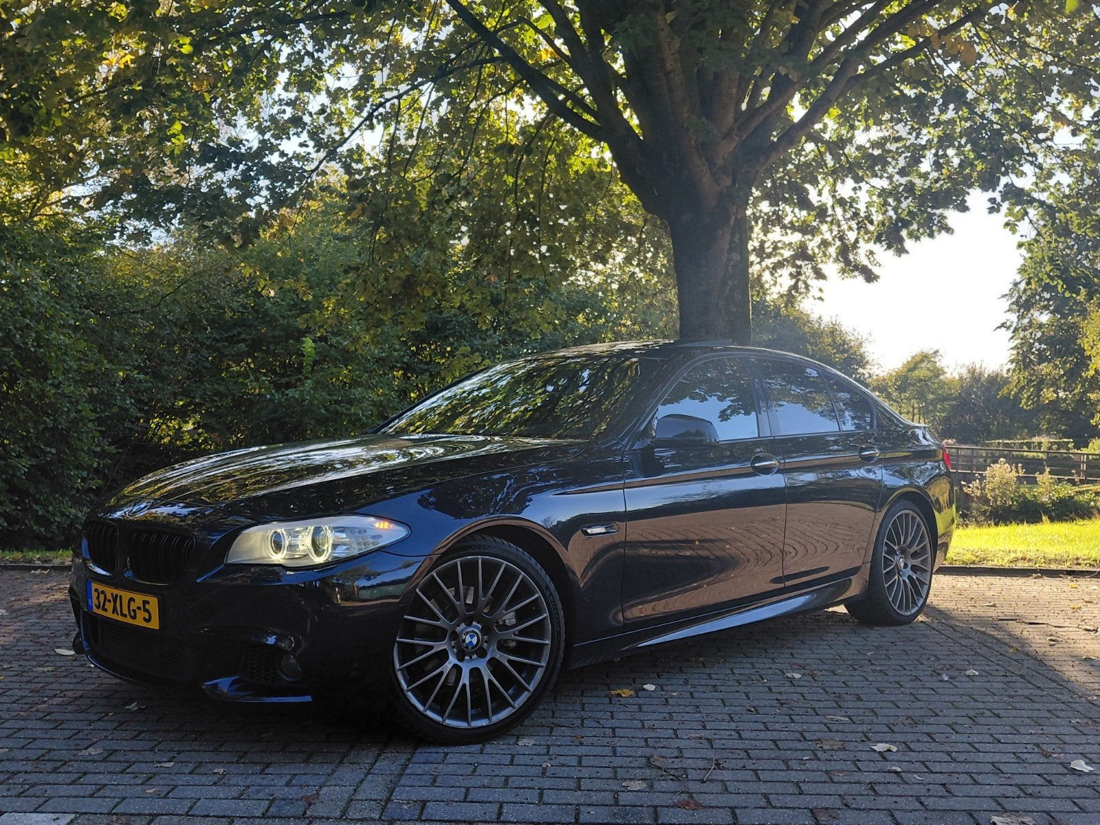 BMW 5-Serie 2.0 520I AUT Origneel NL, 4 cilinders, 2000 kg, Zwart, Bruin