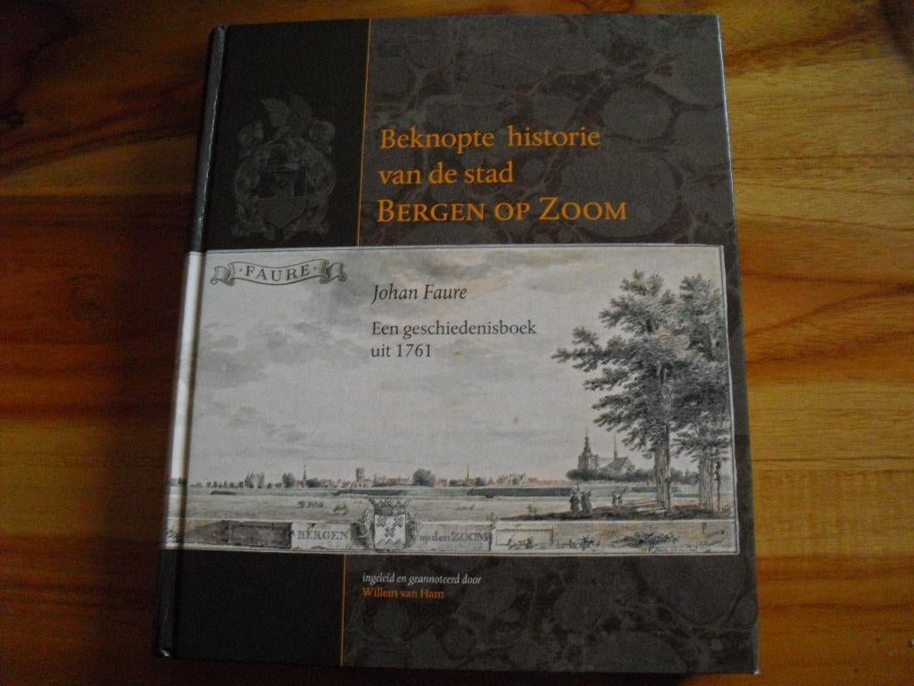 Beknopte historie van de stad Bergen op Zoom, Boeken, Geschiedenis | Stad en Regio, Ophalen of Verzenden, Zo goed als nieuw