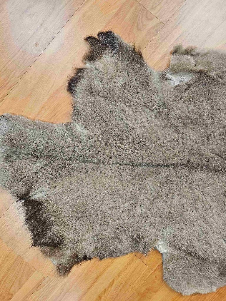 Zachte geitenhuid 115/62 cm, Gebruikt, 100 tot 150 cm, Etten-Leur, DJT@dejuistetoon.eu