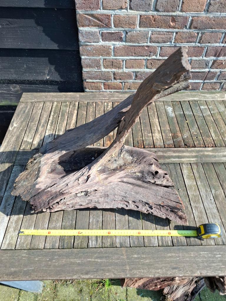 Aquarium hout, Ophalen, Plant(en), Steen of Hout