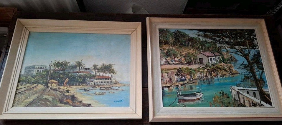 Twee olieverfschilderijen op doek: gedetailleerd en impasto, Ophalen