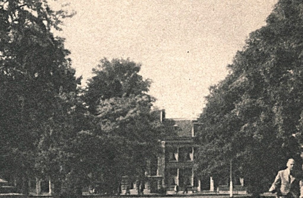 949009	Haarlem	Florapark	Frans Hals	Onbeschreven, Ophalen of Verzenden, 1920 tot 1940, Ongelopen, Noord-Holland