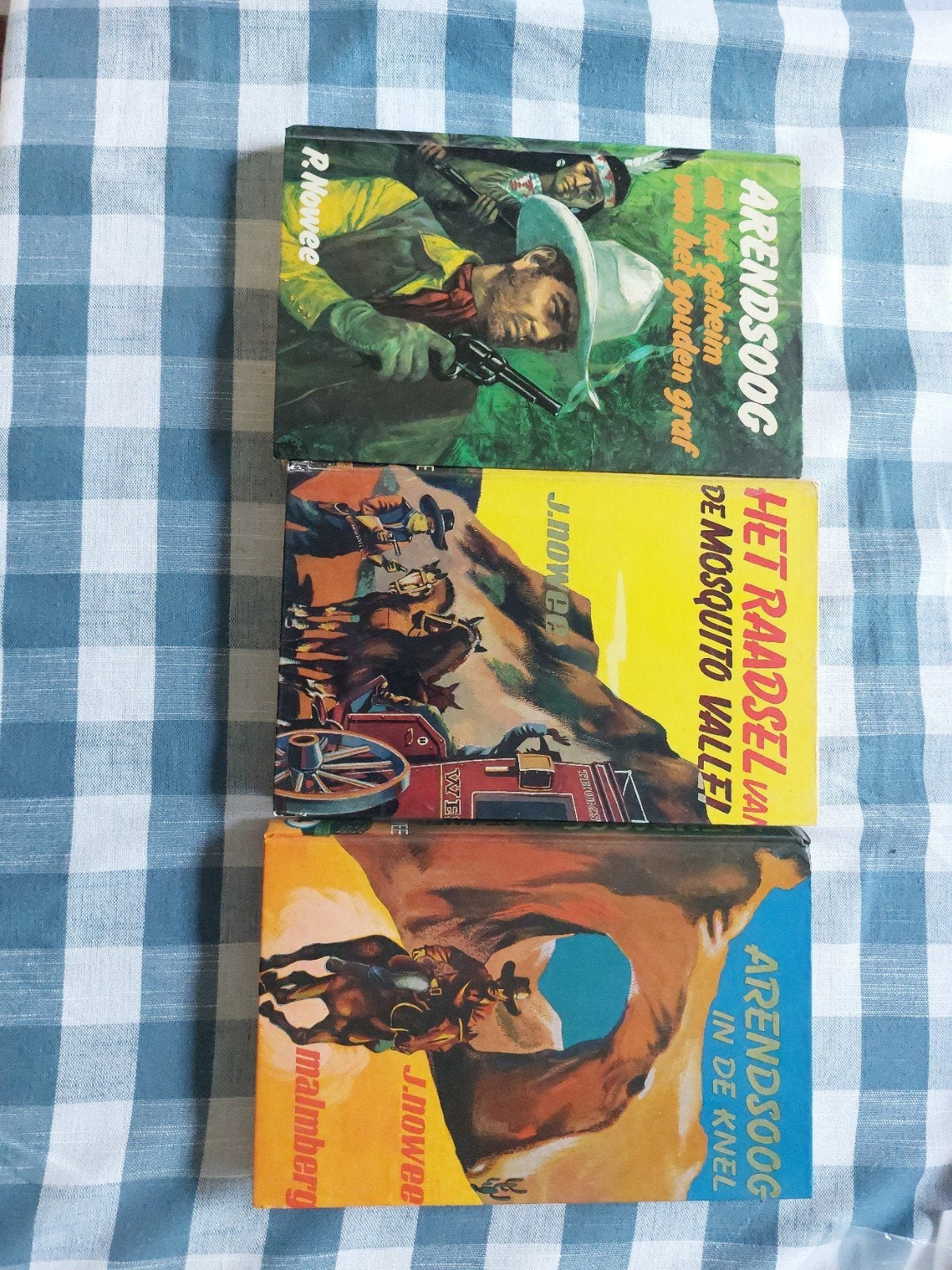 Arendsoog boeken - 3 delen, Boeken, Ophalen of Verzenden, Gelezen, J. Nowee, R. Nowee