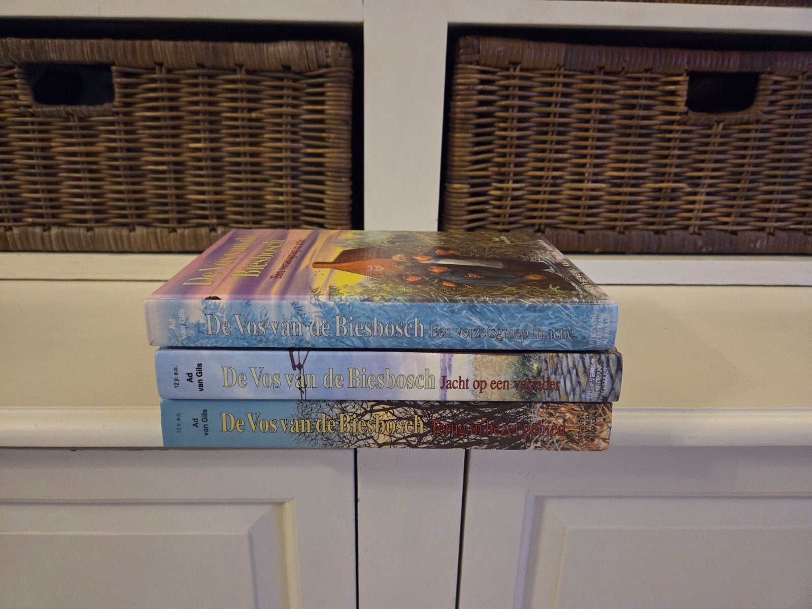 Ad van Gils - De vos van de Biesbosch, Boeken, Ophalen of Verzenden, Gelezen