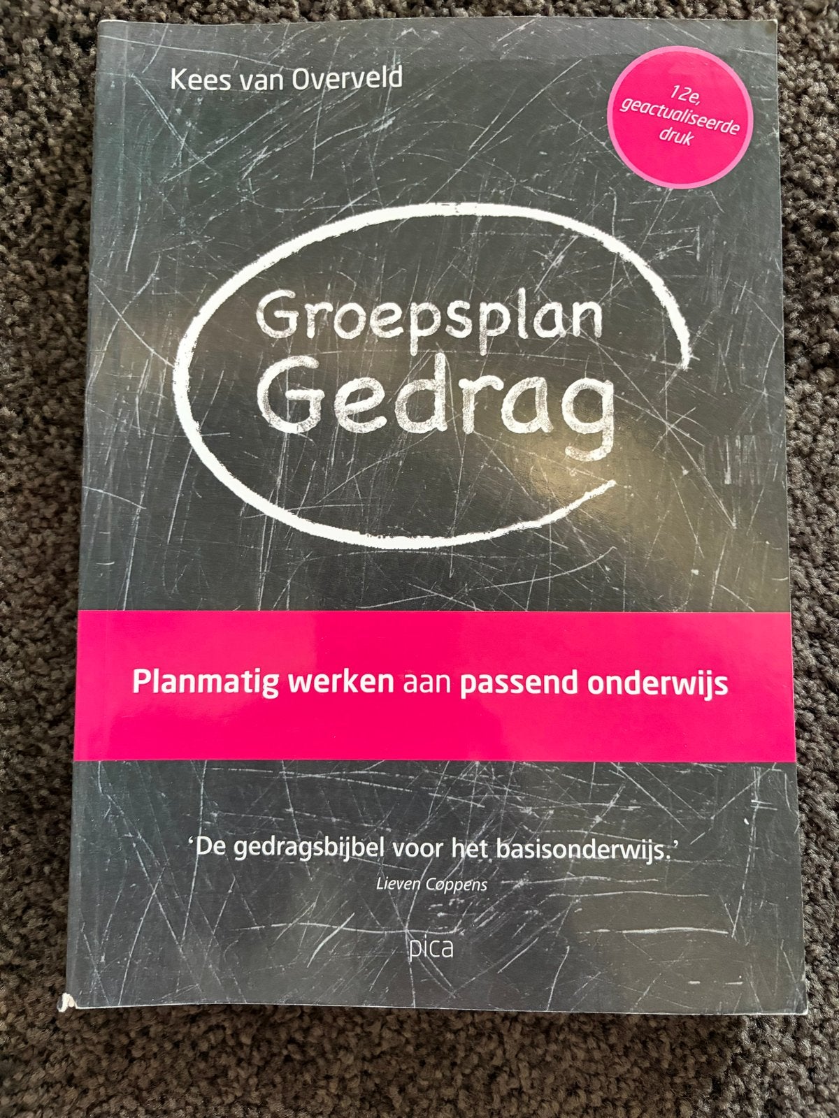 Groepsplan Gedrag - Kees van Overveld (12e druk), Boeken, Studieboeken en Cursussen, Zo goed als nieuw, Overige niveaus, Gamma