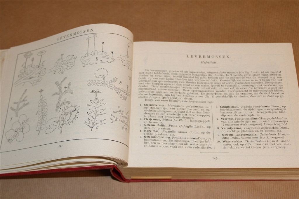 Geïllustreerde Flora van Nederland [1953] — Heimans & Thijss, Boeken, Ophalen of Verzenden, Gelezen, Bloemen, Planten en Bomen