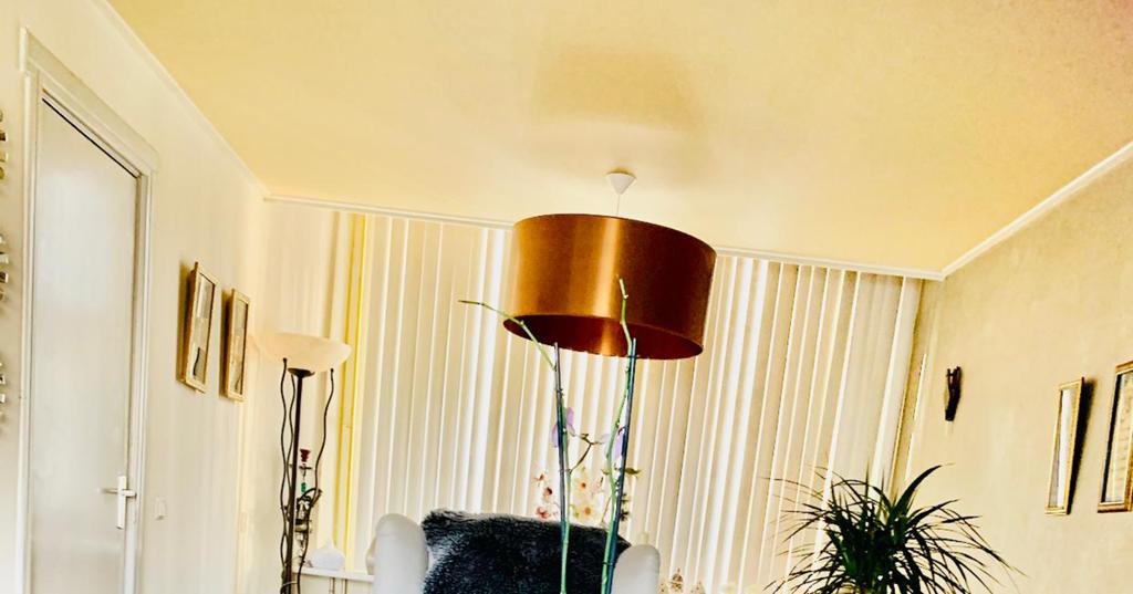 Hang lamp, Huis en Inrichting, Lampen | Hanglampen, Minder dan 50 cm, Ophalen of Verzenden