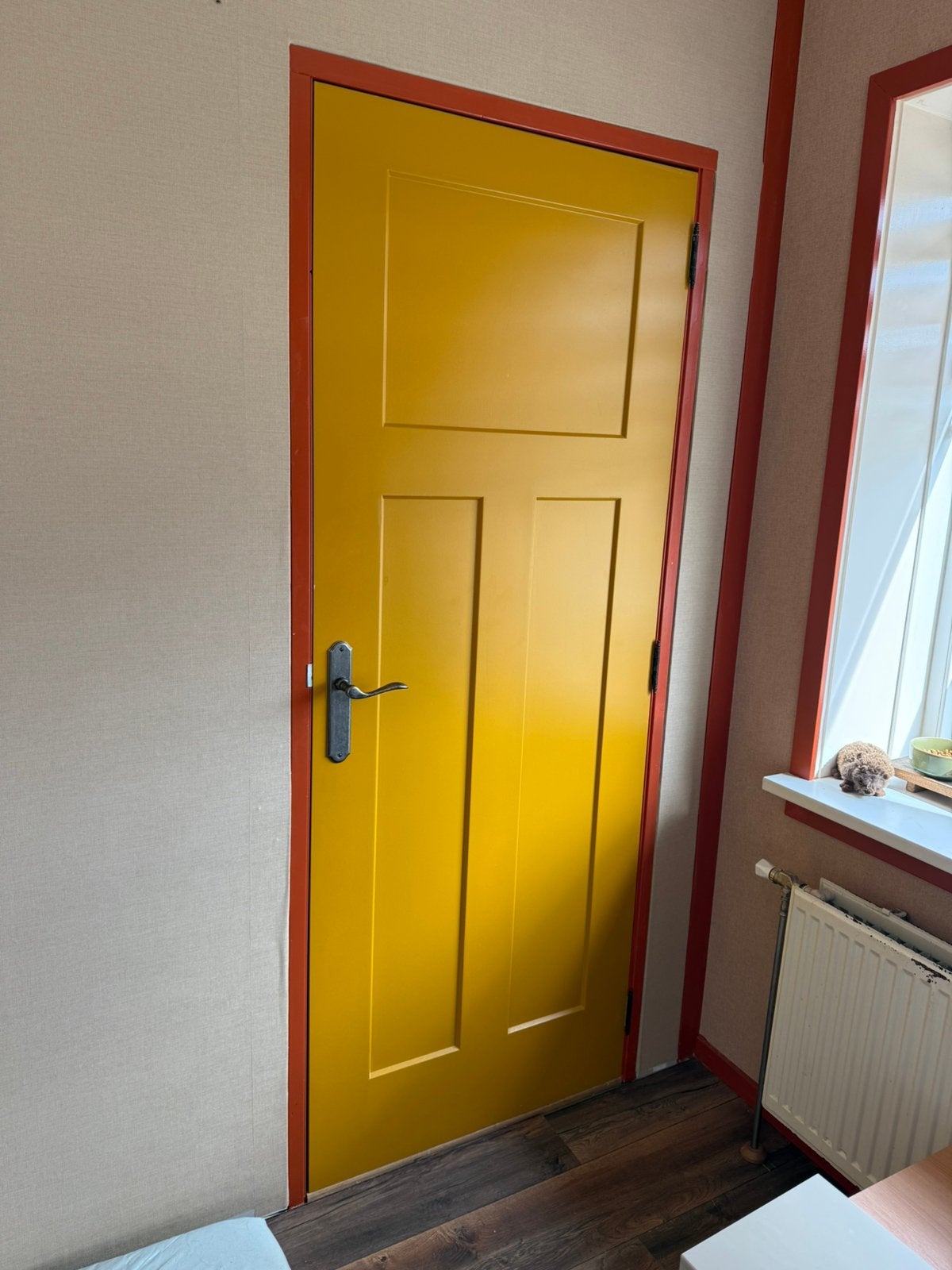 Nette deur Gratis ophalen, Doe-het-zelf en Verbouw, Deuren en Horren, Ophalen, Minder dan 80 cm, Binnendeur, Zo goed als nieuw