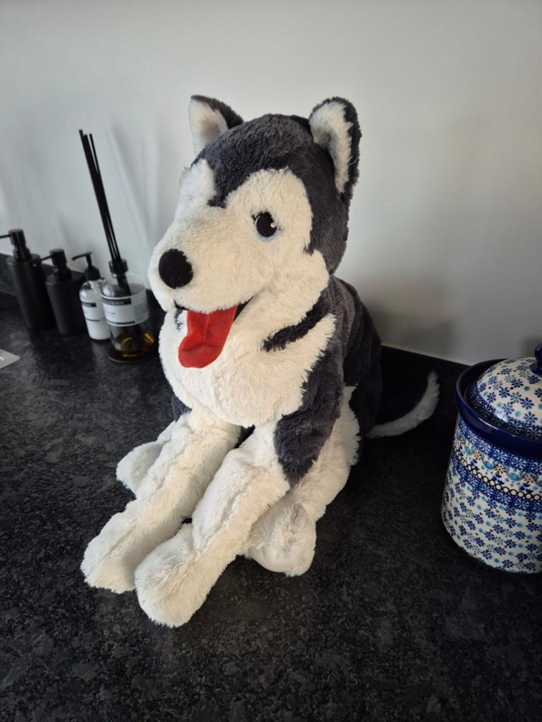 IKEA - Knuffel Husky Livlig groot, Ophalen of Verzenden, Zo goed als nieuw, Overige typen