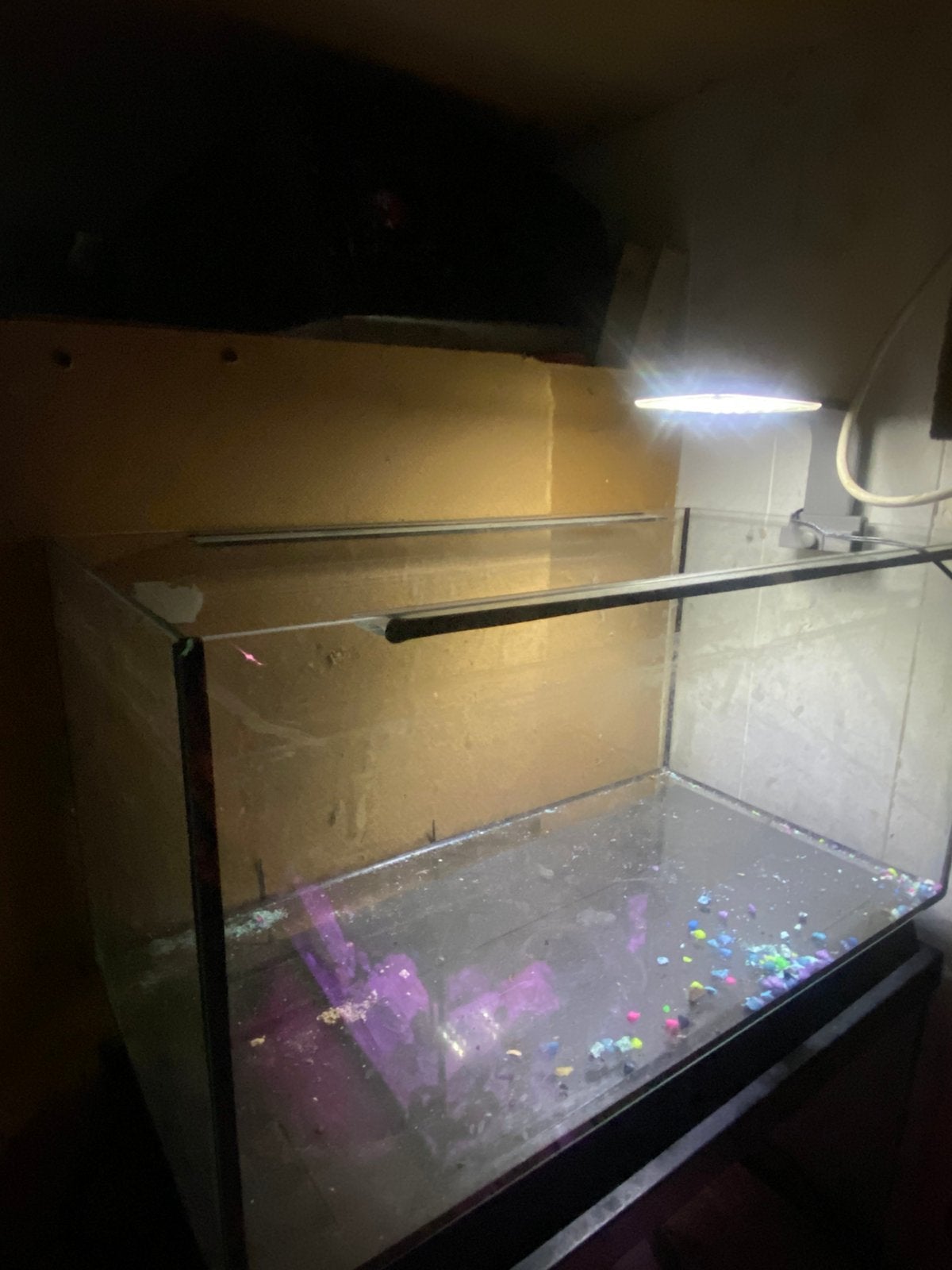 Te koop Aquarium 60 cm, Dieren en Toebehoren, Ophalen, Zo goed als nieuw, Leeg aquarium