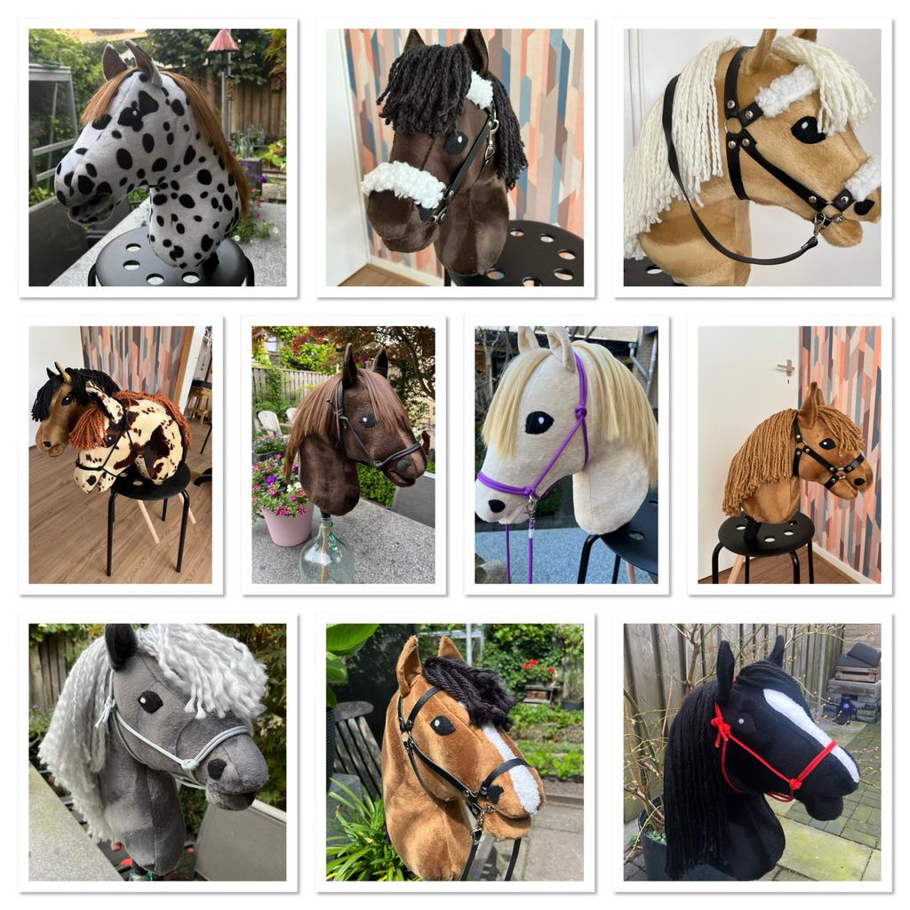 Handgemaakte Hobbyhorses - Diverse Modellen, Ophalen of Verzenden, Nieuw