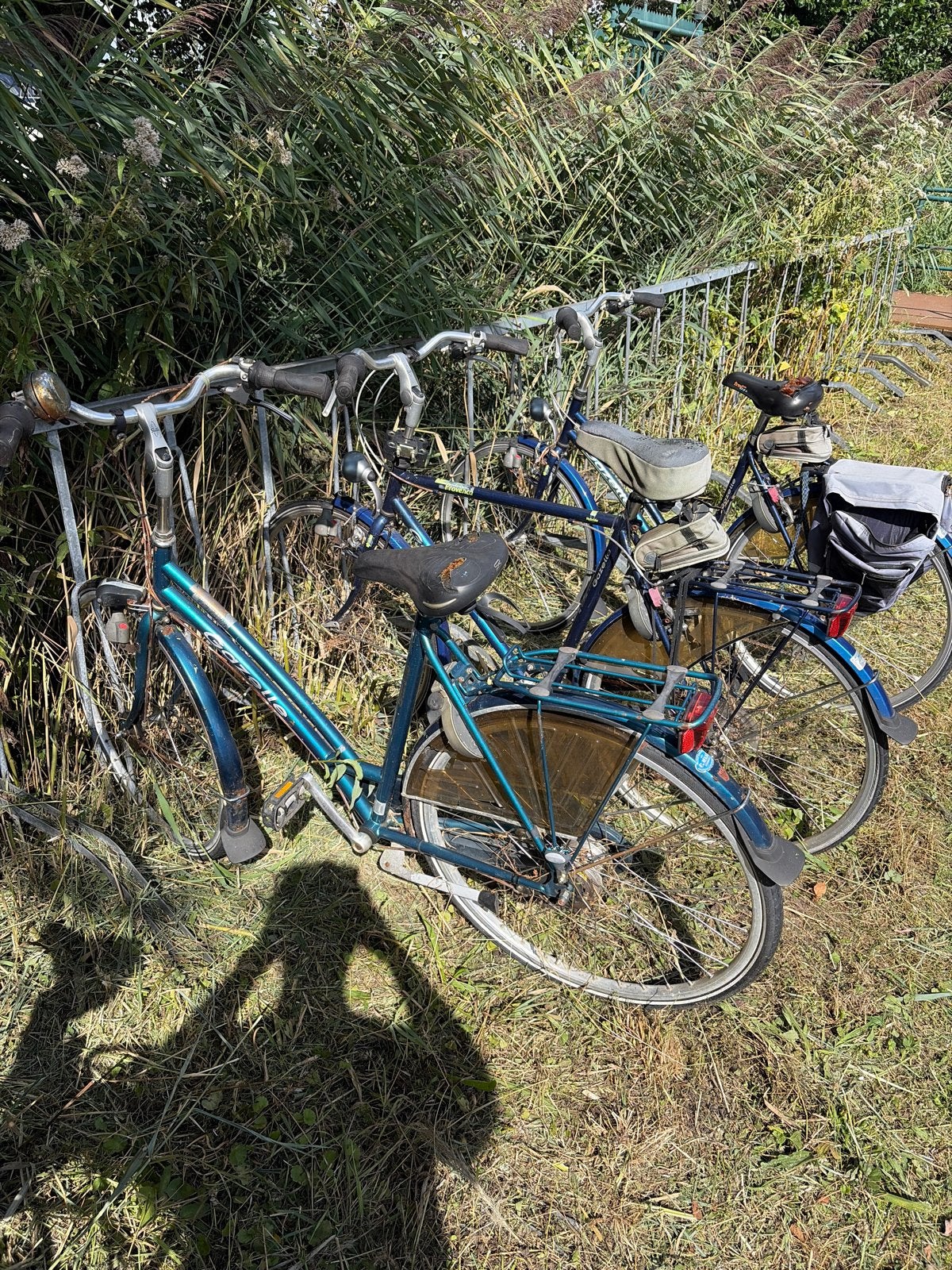 3 Gazelle fietsen met versnellingen, Fietsen en Brommers, Terugtraprem, Versnellingen, Ophalen of Verzenden, Gazelle