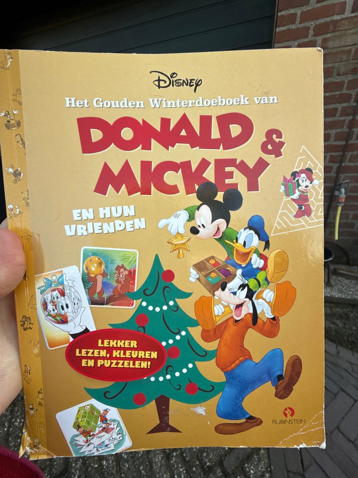 Disney Het Gouden Winterdoeboek van Donald & Mickey, Gelezen, 5 of 6 jaar, Fictie algemeen, Jongen of Meisje