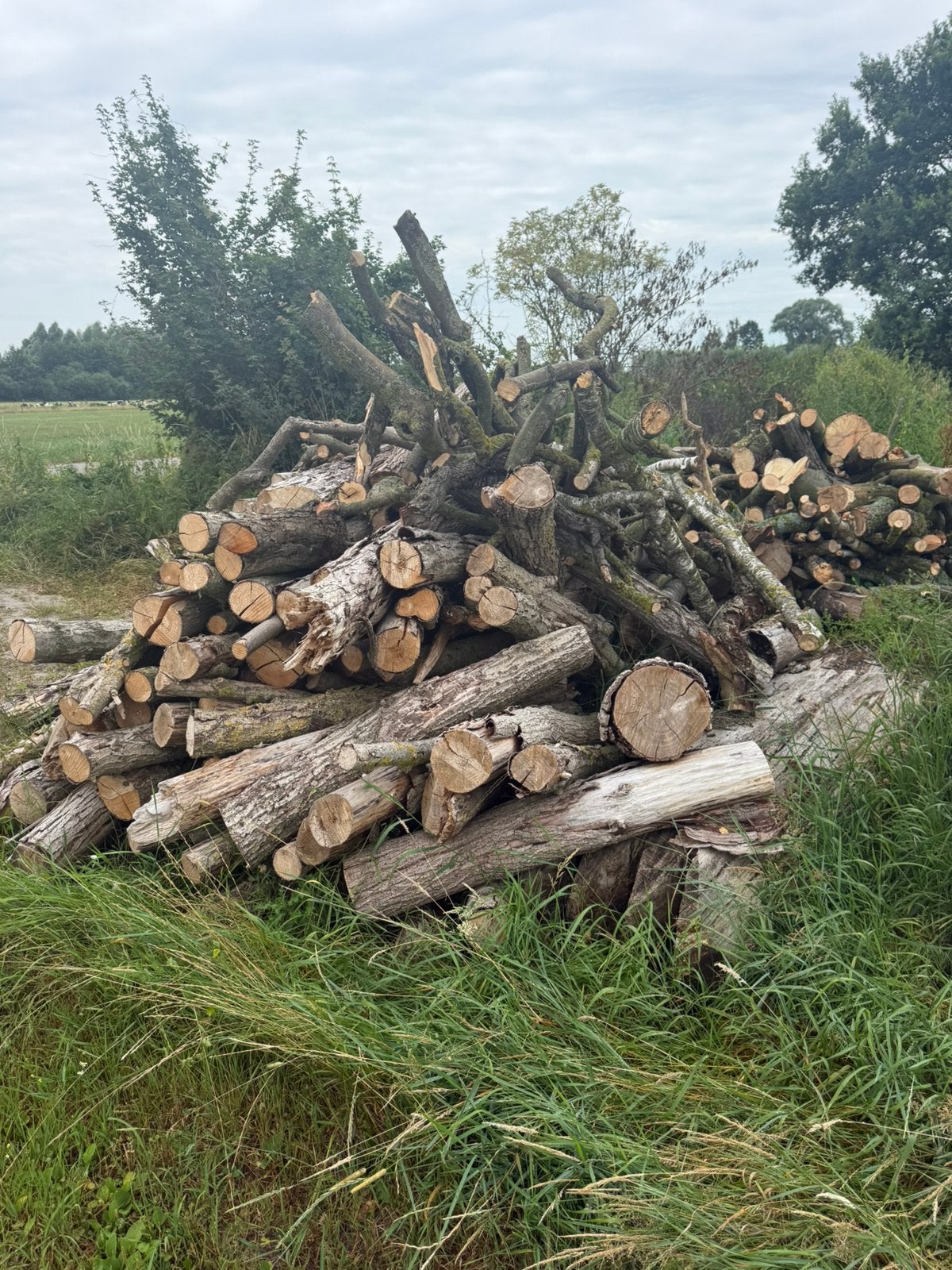 Brandhout + - 8 m2, Tuin en Terras, Minder dan 3 m³, Ophalen of Verzenden