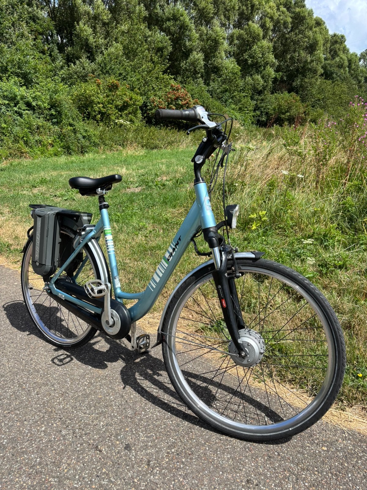 Giant Twist Go Double Hybrid elektrische fiets, Ophalen, Zo goed als nieuw