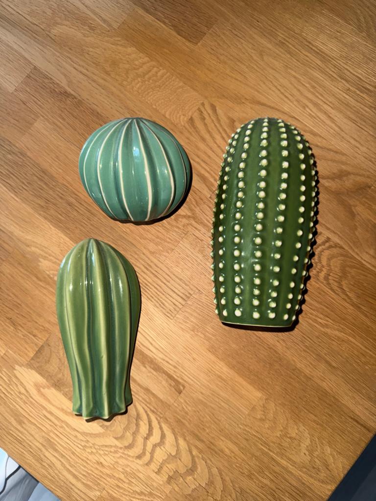 Decoratieve cactus beeldjes - set van 3, Ophalen of Verzenden, Zo goed als nieuw